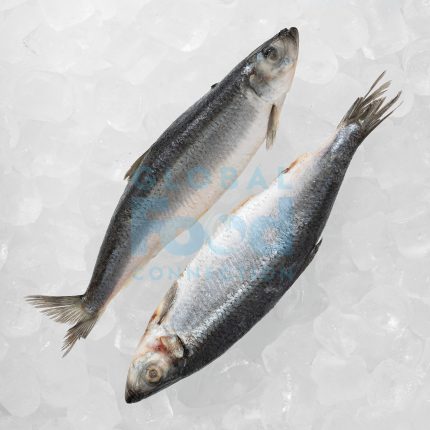 Atlantinė silkė 20kg