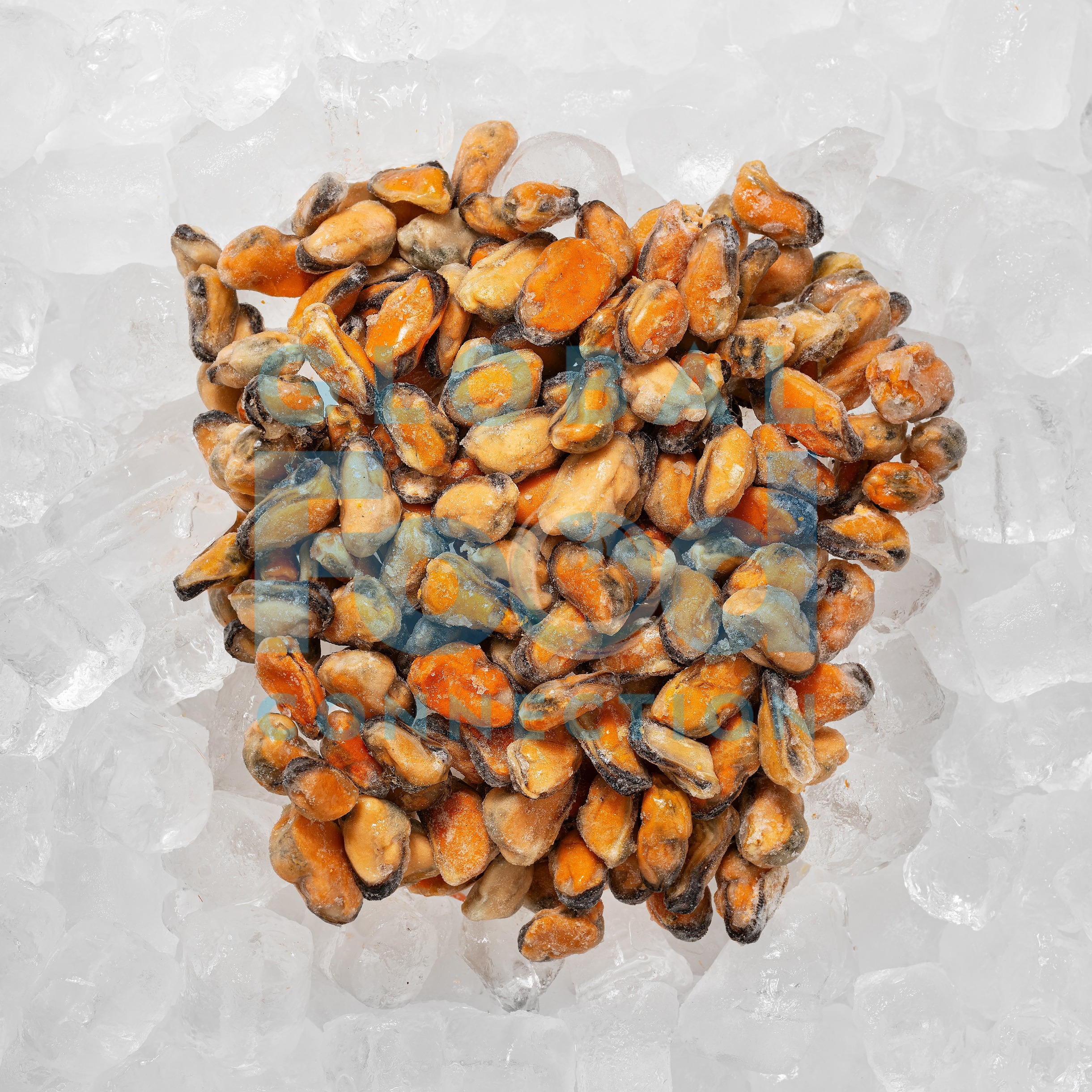 COOKED MUSSELS MEAT - UNPACKED