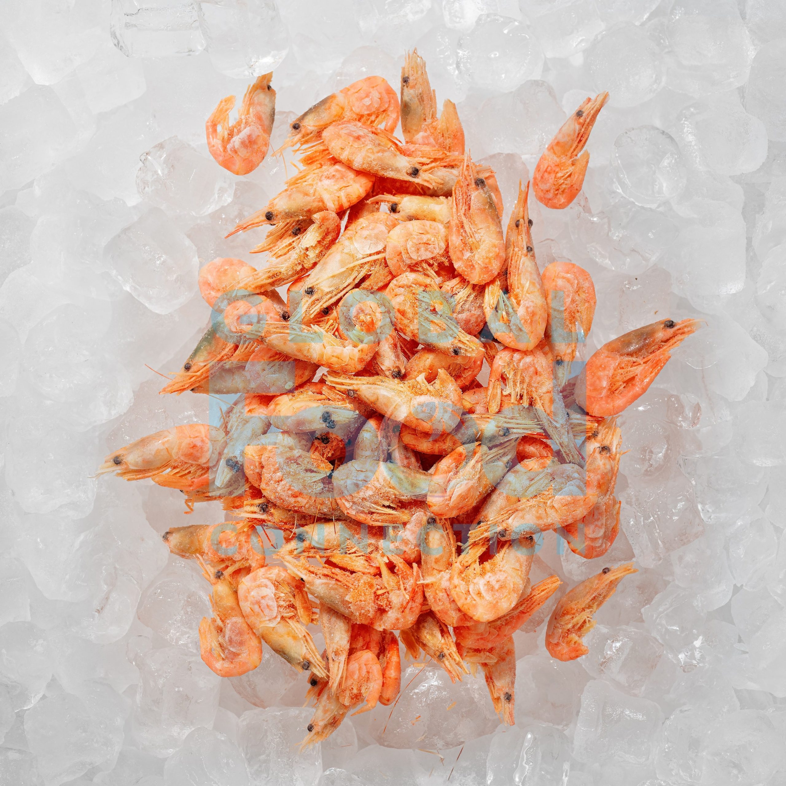 COOKED SHRIMPS - UNPACKED