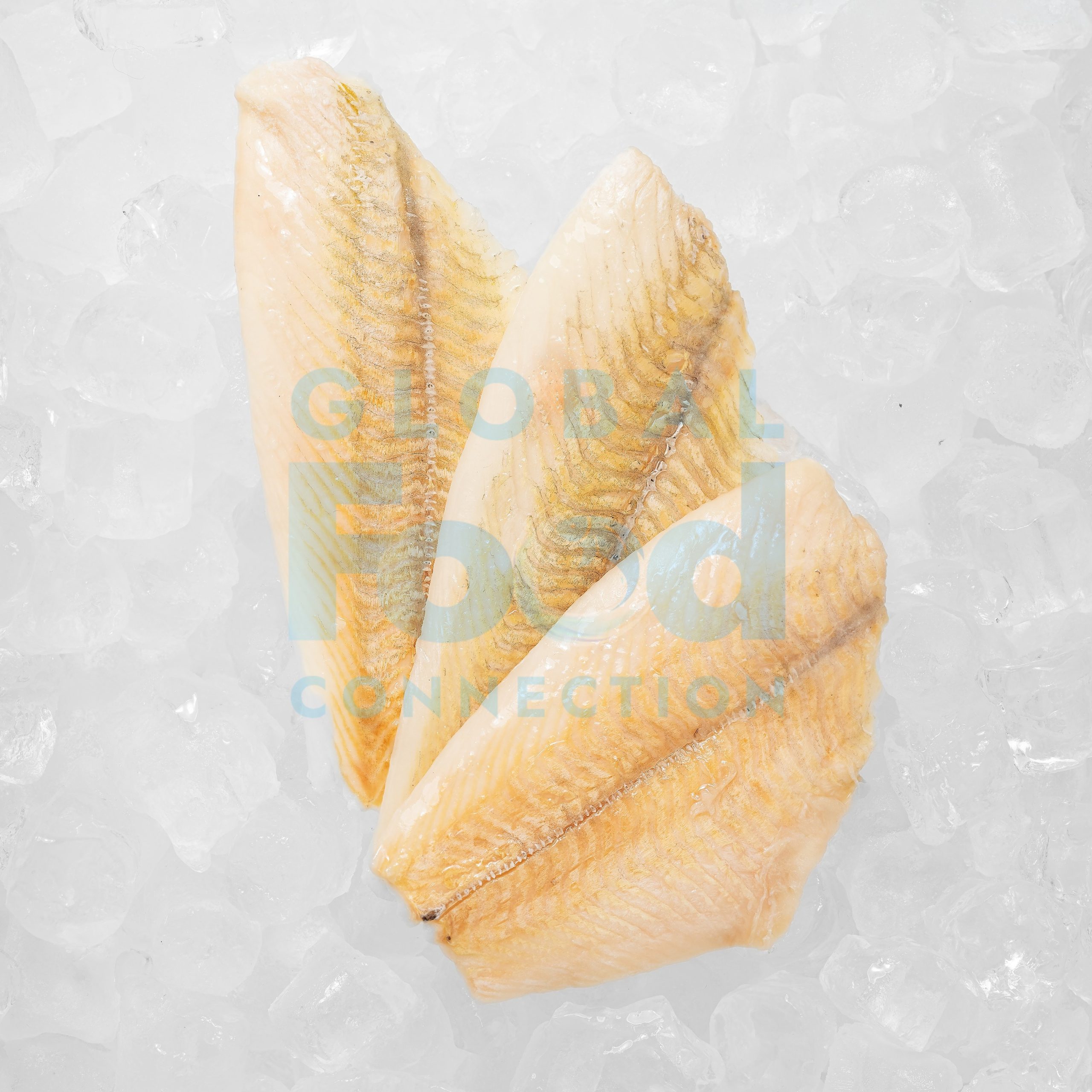 FLOUDER FILLET - UNPACKED