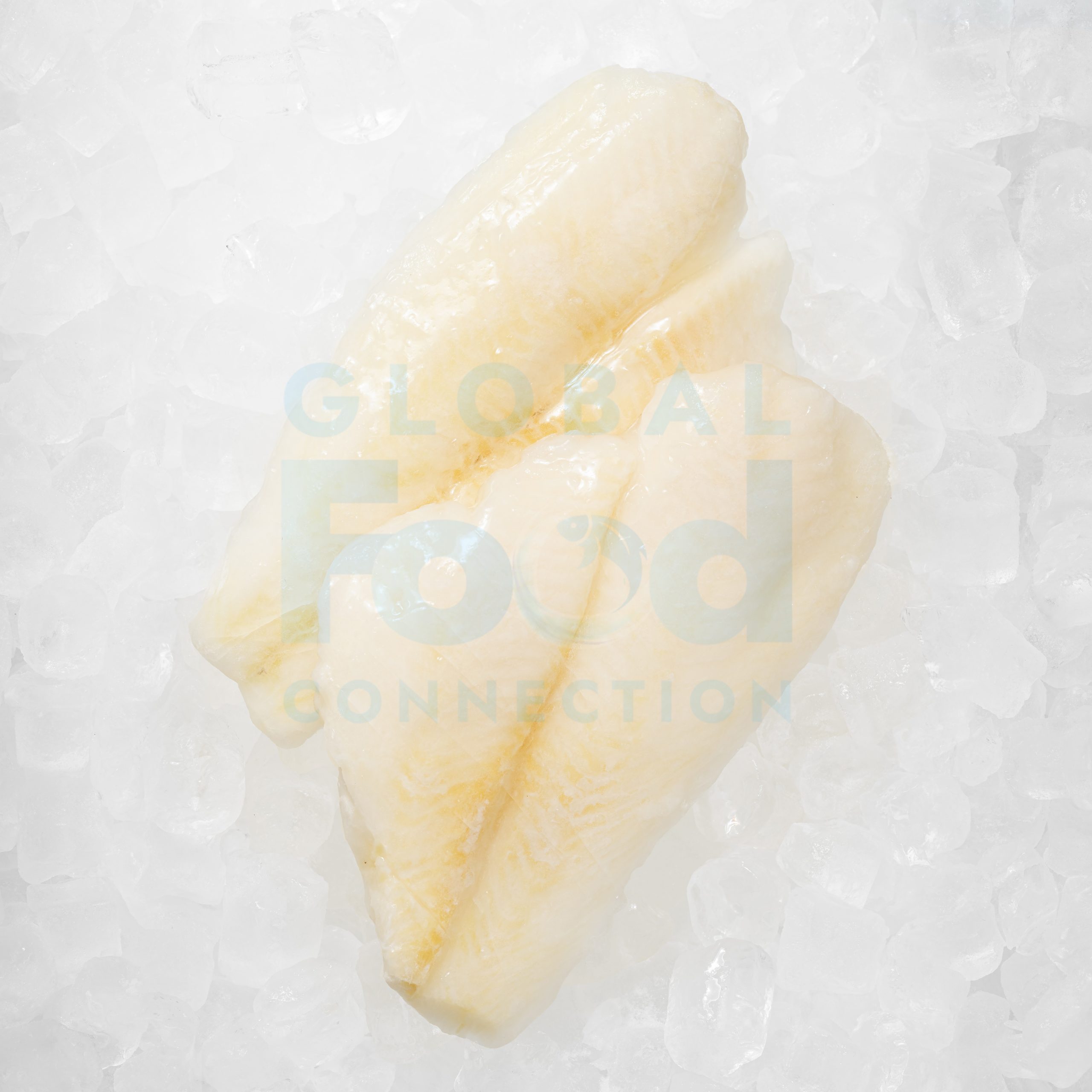 HALIBUT FILLET - UNPACKED