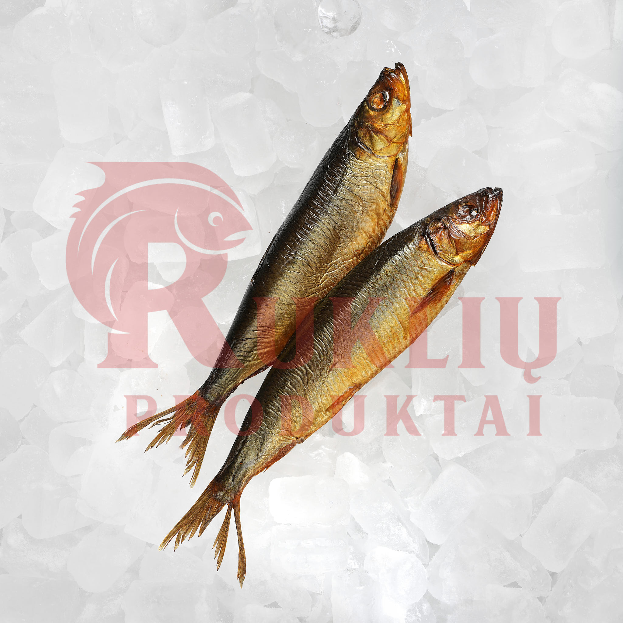 Cold smoked atlantic herring